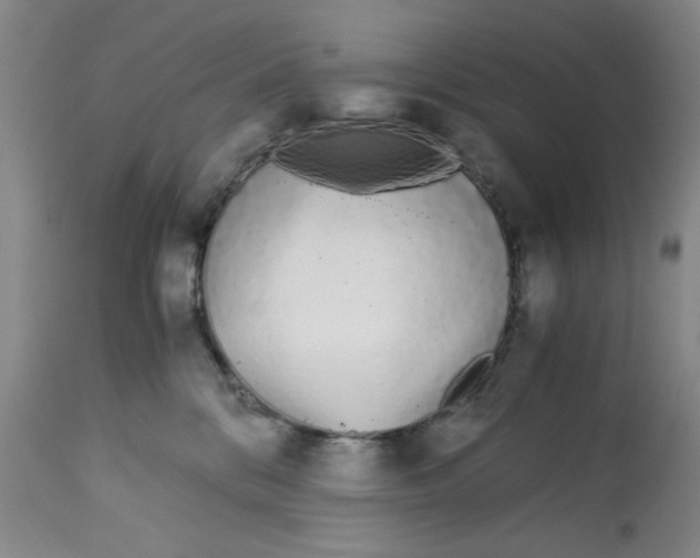 X0000113170328200909251424