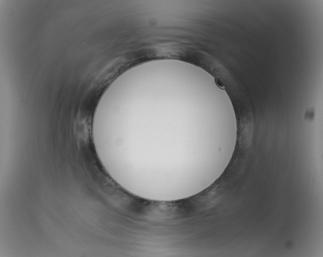 X0000113170329200909251424