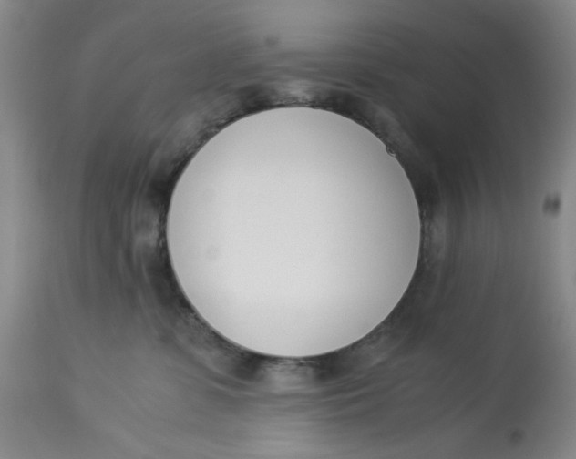 X0000113170331200909251424