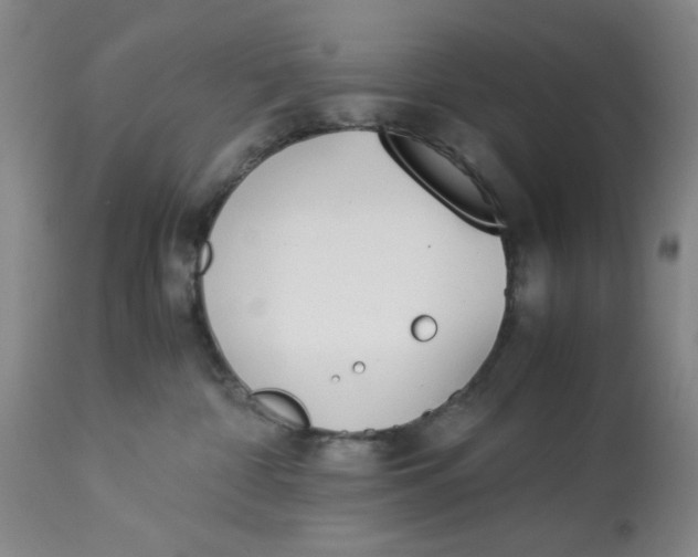 X0000113170332200909251424