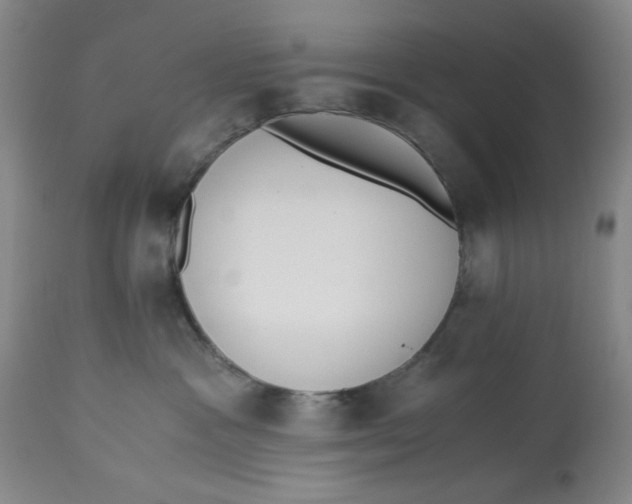 X0000113170333200909251424