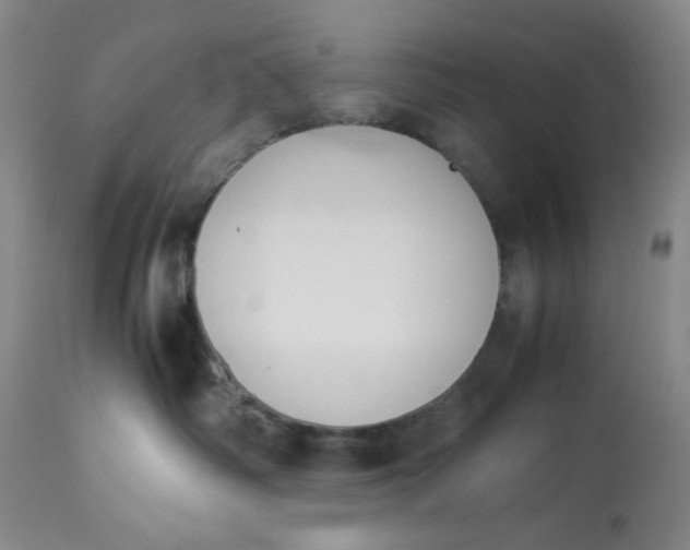 X0000113170334200909251424