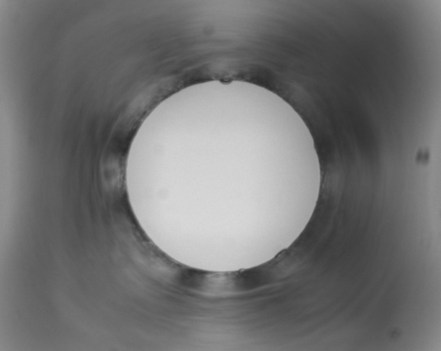 X0000113170335200909251424