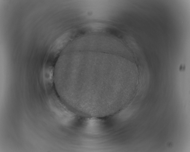 X0000113170336200909251424