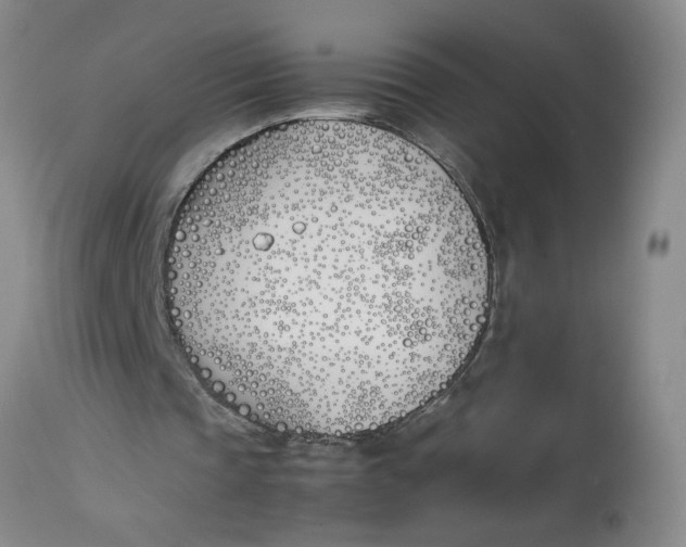 X0000113170337200909251423