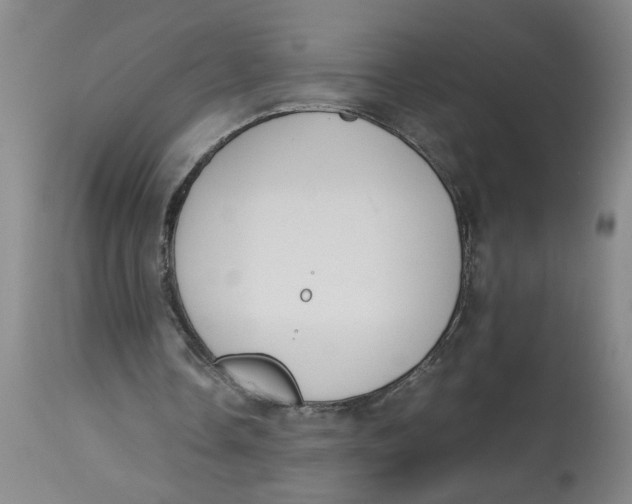 X0000113170338200909251423