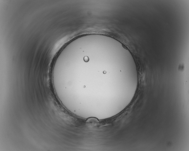 X0000113170340200909251423