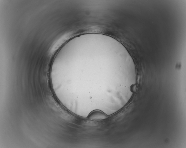 X0000113170341200909251423