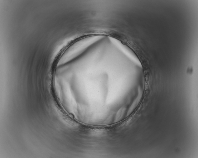 X0000113170342200909251423