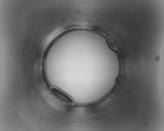 X0000113170344200909251423