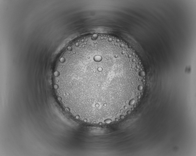 X0000113170347200909251423