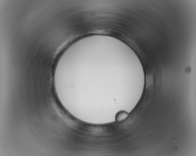 X0000113170349200909251423