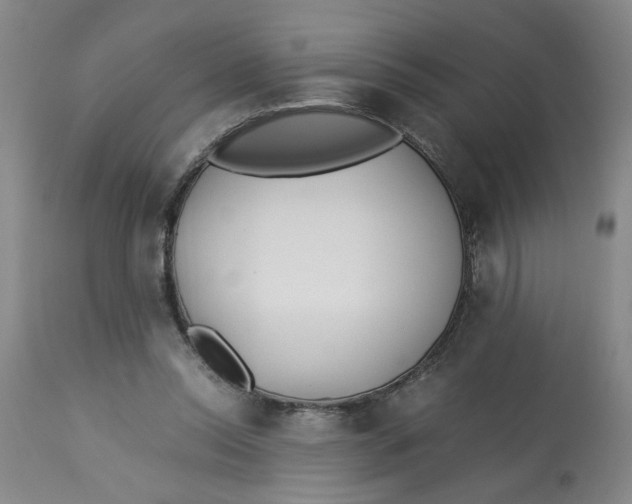 X0000113170350200909251423