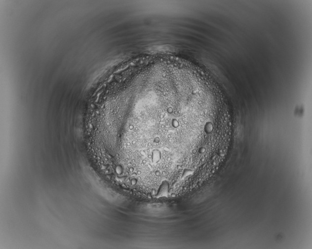 X0000113170353200909251423