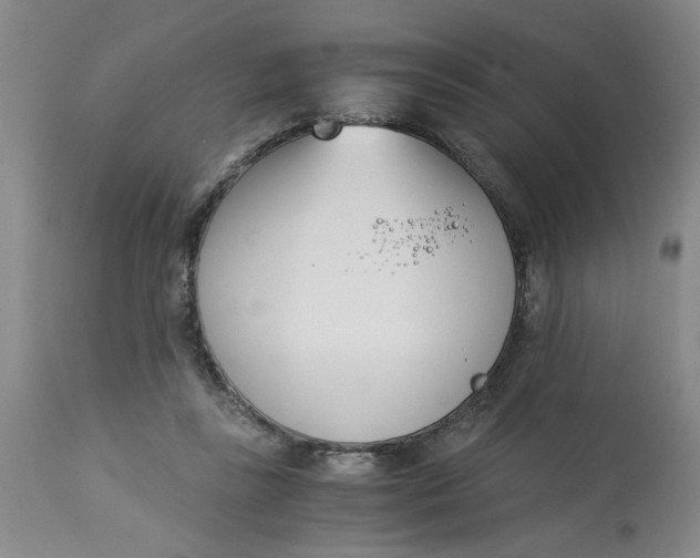 X0000113170355200909251423