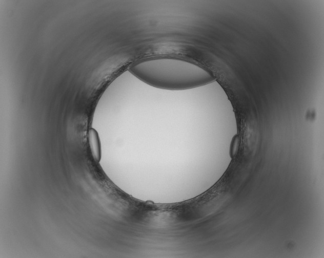 X0000113170356200909251423