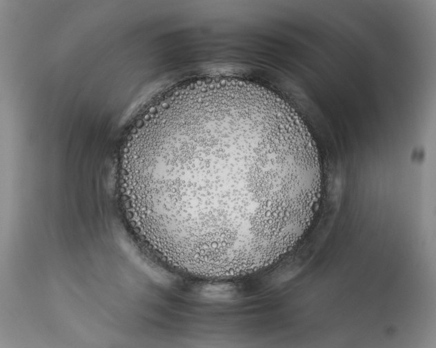 X0000113170357200909251423