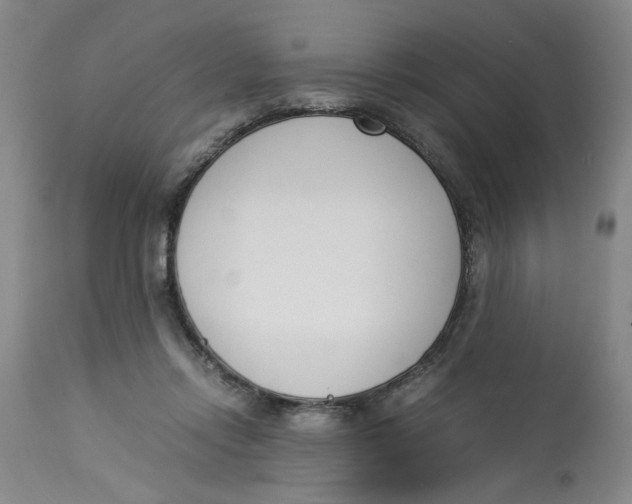 X0000113170358200909251423