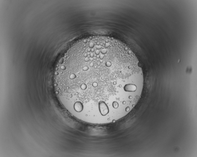 X0000113170359200909251423