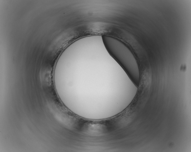 X0000113170360200909251423