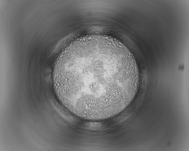 X0000113170361200909251423