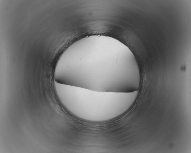 X0000113170362200909251423