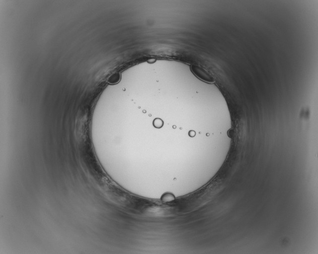 X0000113170364200909251423