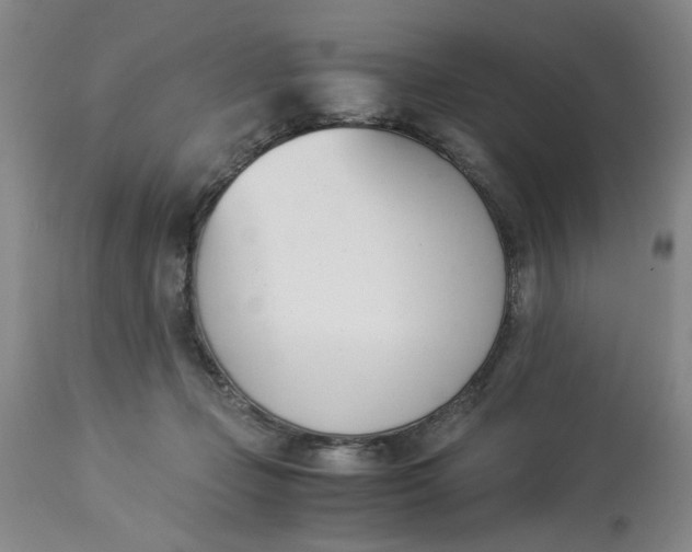 X0000113170365200909251423