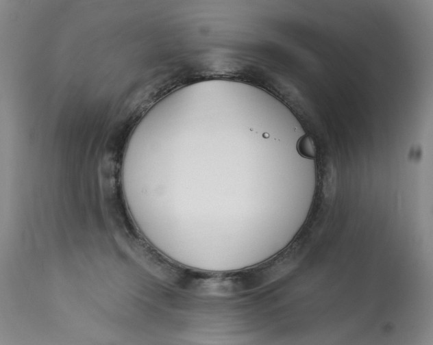 X0000113170366200909251423