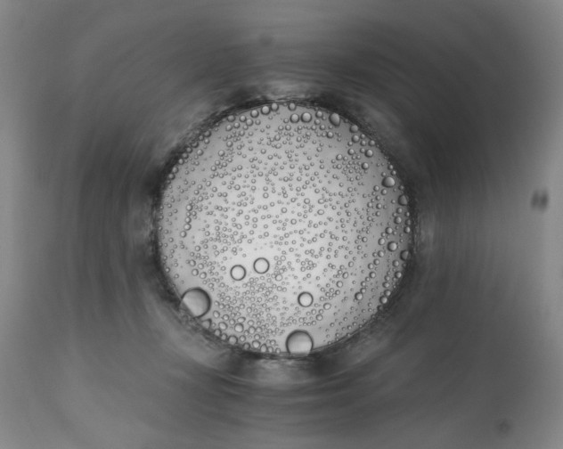 X0000113170367200909251423