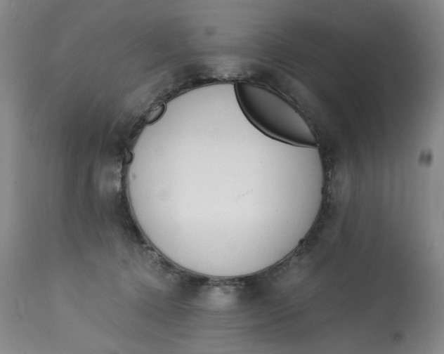 X0000113170368200909251423