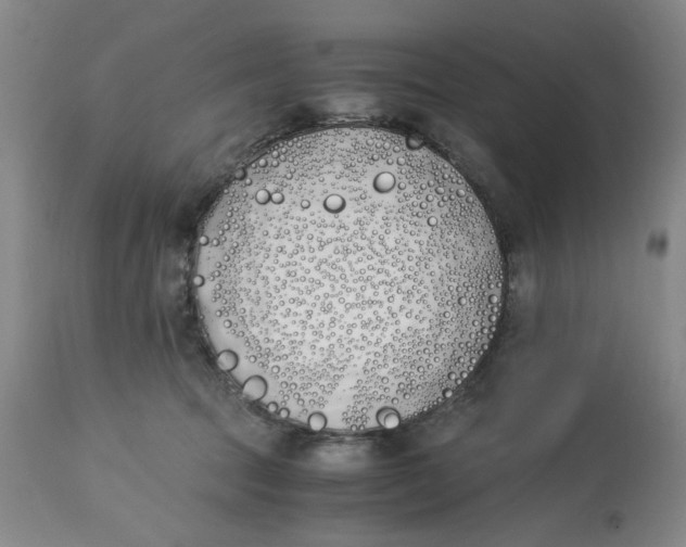 X0000113170369200909251423