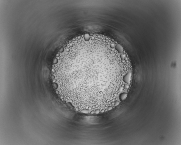 X0000113170371200909251423