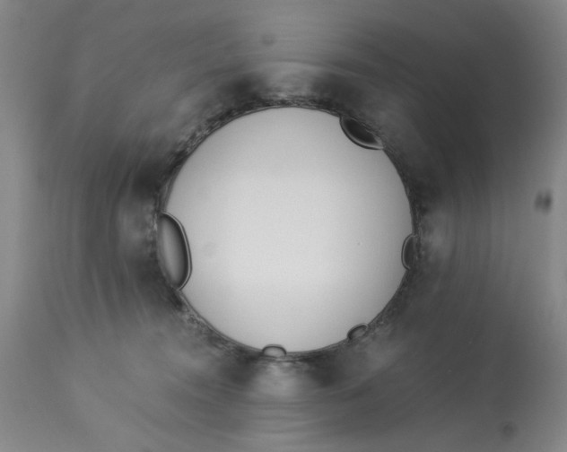 X0000113170372200909251423