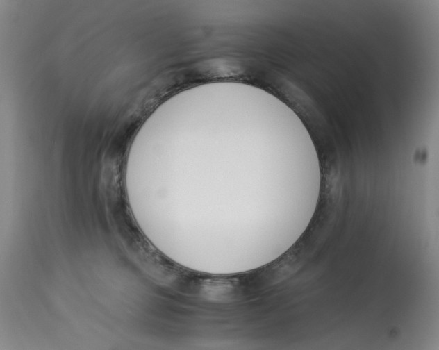 X0000113170373200909251423