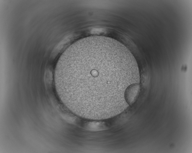 X0000113170375200909251423