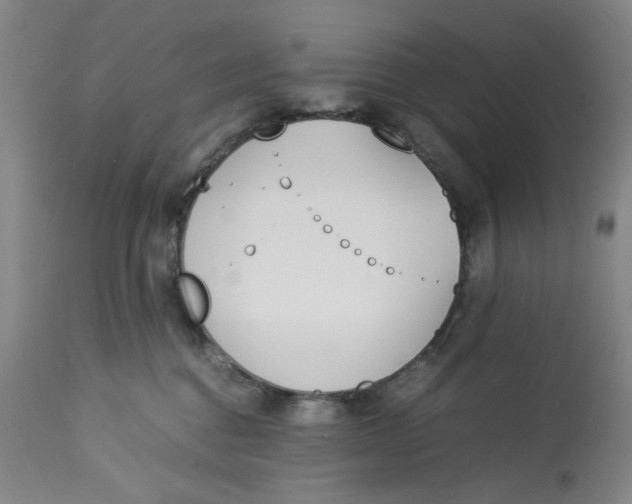 X0000113170376200909251423