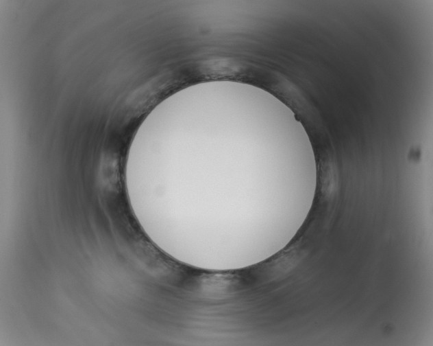 X0000113170378200909251423