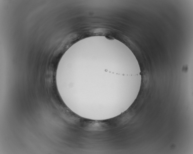 X0000113170379200909251423