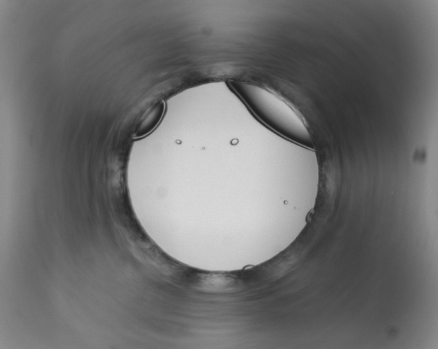 X0000113170380200909251423