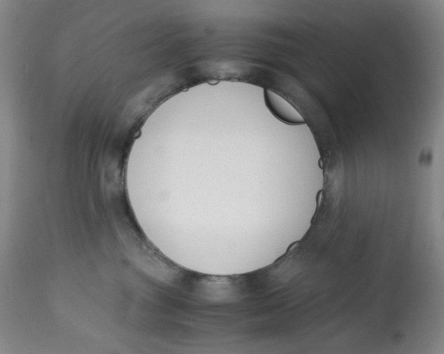 X0000113170381200909251423