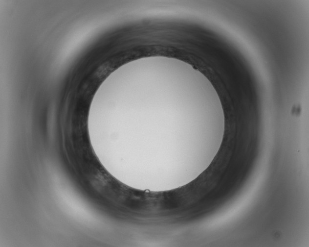 X0000113170382200909251423