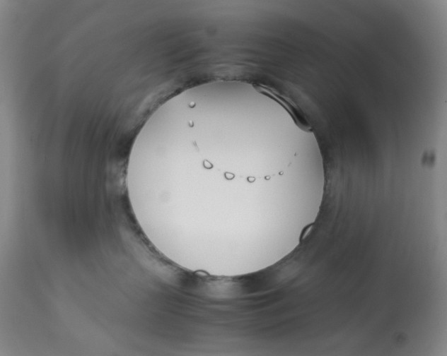 X0000113170383200909251424