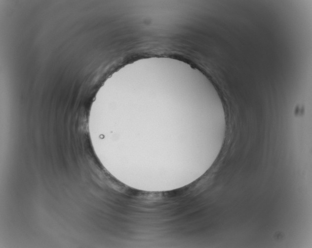 X0000113170384200909251424