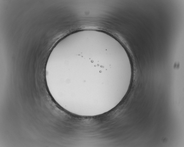 X0000113170385200909251423