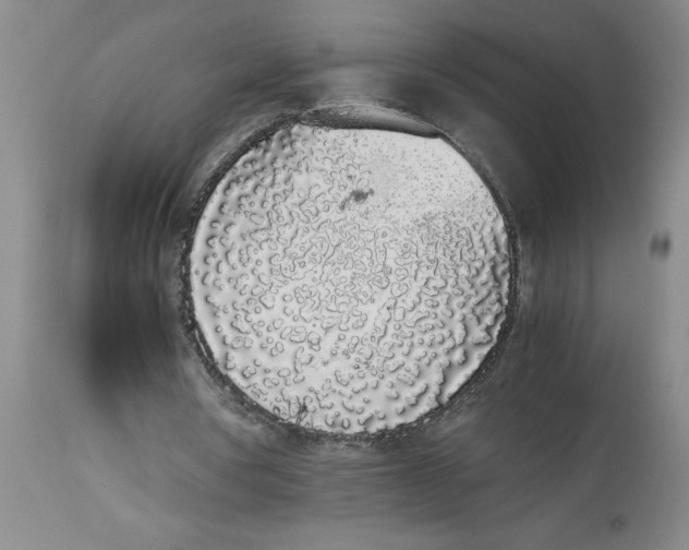 X0000113170386200909251423