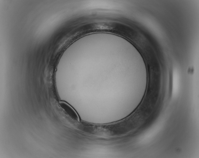 X0000113170387200909251423