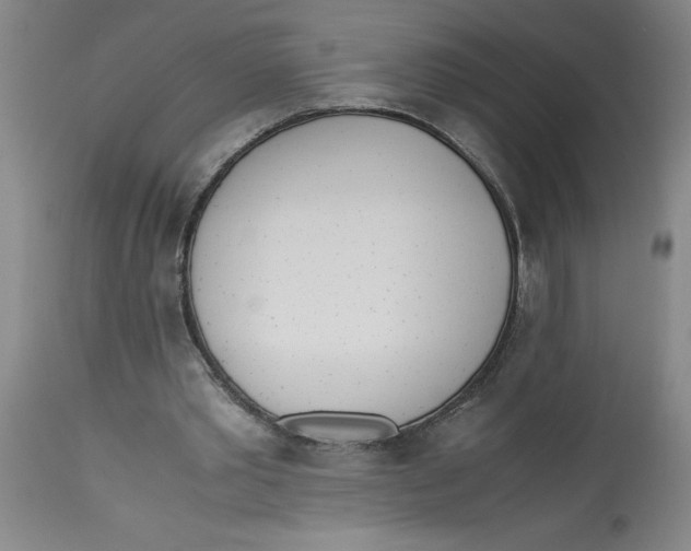 X0000113170389200909251423