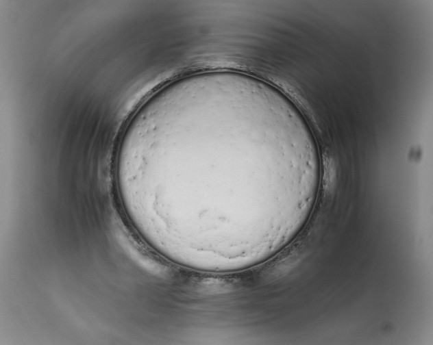 X0000113170390200909251423