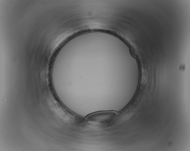 X0000113170391200909251423